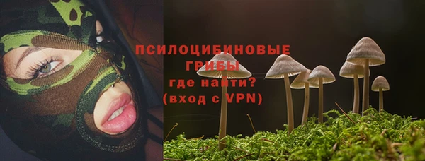 синтетический гашиш Верхний Тагил